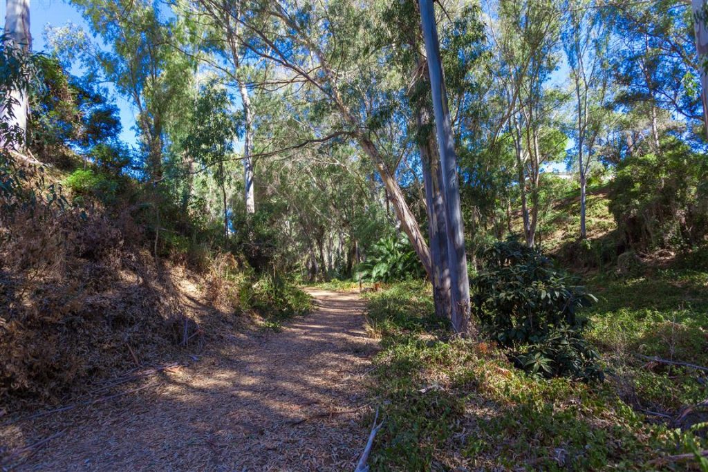 Calahonda Park walkway